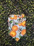 Oranges Pin Banner with D-Rings SMALL